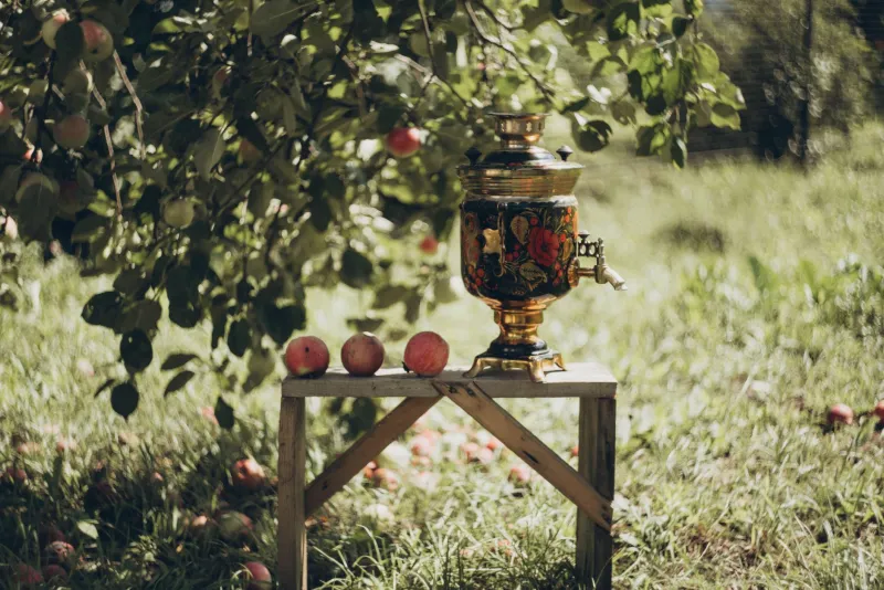 Hot Water, Cold Stares: What Your Tea Habit Says About You According to Russians